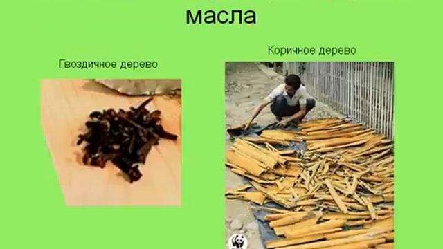 Химический состав растений.AVI смотреть онлайн