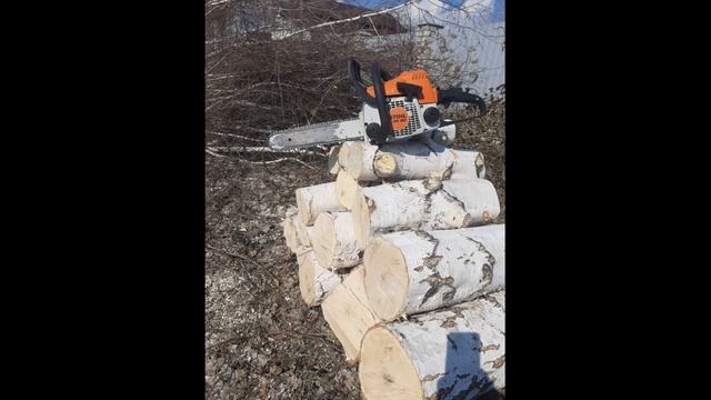 Производим спил деревьев любой сложности. Адрес: г. Воронеж смотреть онлайн