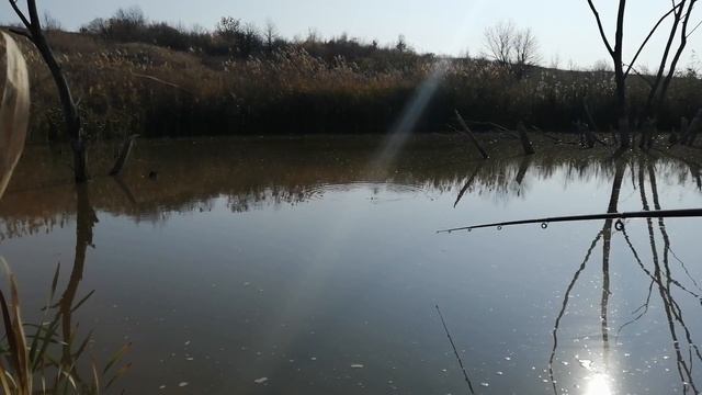 Октябрьская РЫБАЛКА Неплохой ОСЕННИЙ Клев! смотреть онлайн