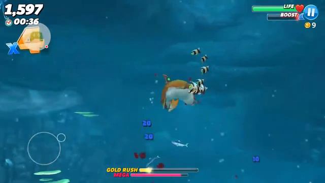 Game #2 Hungry Shark World