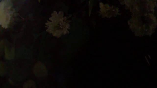 А ты там, там, там где смородина растет(наброски)