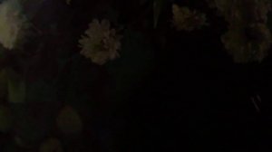 А ты там, там, там где смородина растет(наброски)