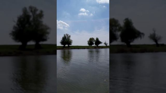 Сазан крутая рыбалка в Астрахани 2015 смотреть онлайн