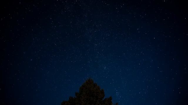 КАК Я СДАЛ ЕНТ смотреть онлайн