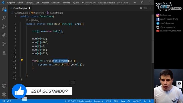 Como criar e manipular Array em Java [Aprenda nesta aula] - Curso de Java - Aula 24 смотреть онлайн
