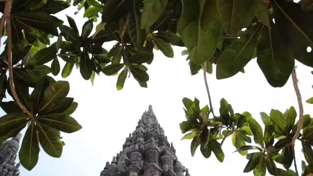 "Descubrir" - Grandes Documentales - Java - T1E4 - 20 dic. 2020 - Trailer смотреть онлайн