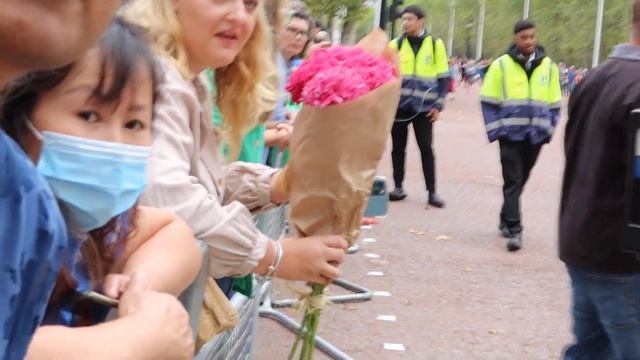 толпы людей у букингемского дворца / Crowds of people at Buckingham Palace смотреть онлайн
