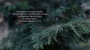 Божье Слово изгоняет из сердца все страхи и сомнения _ Библия утром _ Relaxing