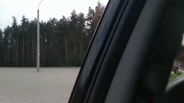 ||| МОЙ ДРУГ - РИЧ ПИАНА ||| . ДЕНЬ ИЗ ЖИЗНИ "КОЧКИ" смотреть онлайн