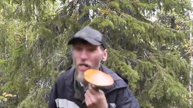 Я Грибабас гроза грибов кхахаха смотреть онлайн