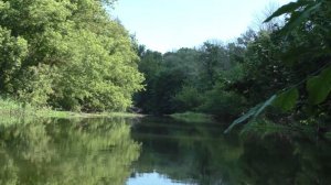 ЛОВЛЯ КАРАСЯ И КАРПА НА ПОПЛАВОЧНУЮ УДОЧКУ В ИЮЛЕ.