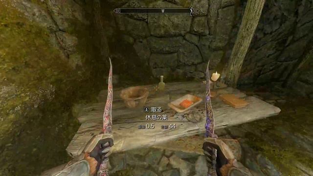 【The Elder Scrolls V: Skyrim】プルプルさせながらあてもなく冒険　その11