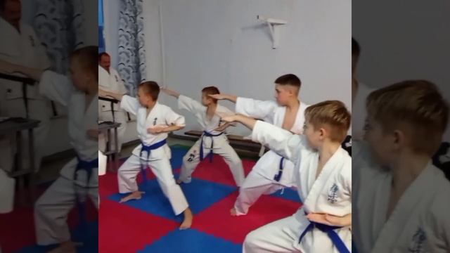 Экзамен на присвоение очередного уровня Шинкиокушинкай карате.Новая Одесса.Тренер С.В.Перепелицын смотреть онлайн