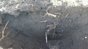 грунтовые воды определение уровня