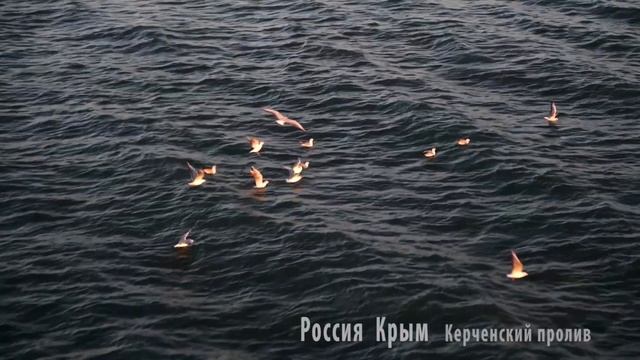 Россия Крым Керченский пролив 2016 смотреть онлайн