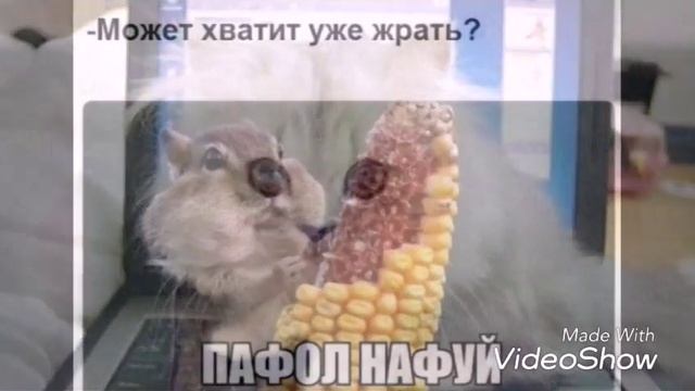 СМОТРИТЕ НОВОЕ ВИДЕО! «СМЕШНЫЕ КАРТИНКИ» смотреть онлайн