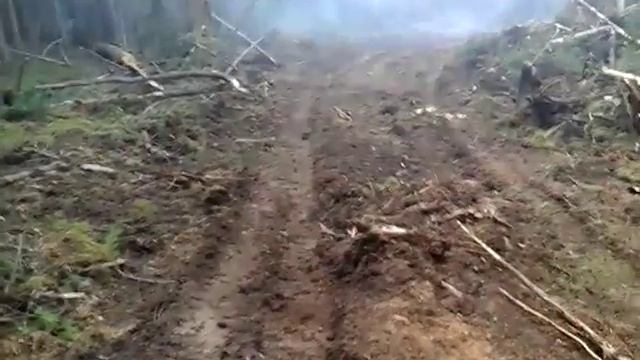 Лесные пожары. Правильная опашка смотреть онлайн