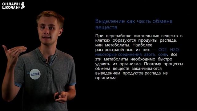 Понятие об обмене веществ. Видеоурок 20. Биология 8 класс смотреть онлайн