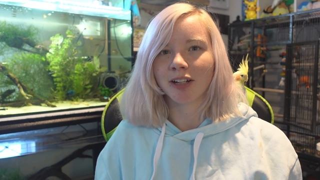 Should You Get an Axolotl? смотреть онлайн