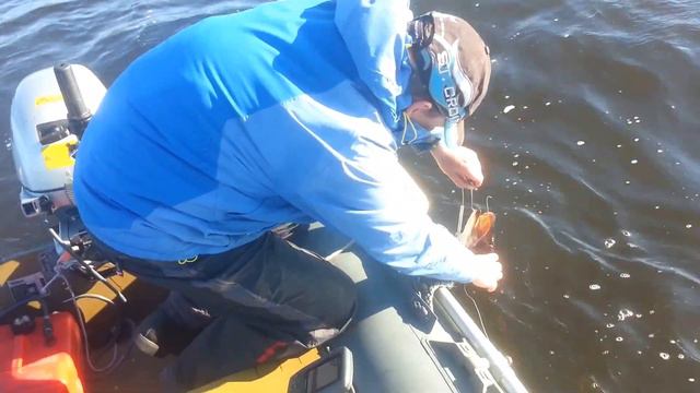 Поймал- погладил- отпустил 2 смотреть онлайн