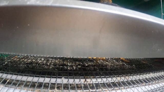 НАТУРАЛЬНЫЙ белковый корм КУРАМ /ВИАНДОТ, УХЕЙИЛЮЙ , ШЁЛКИ кормлю мучным ЧЕРВЕМ/питомник МАРИ МИСТИ смотреть онлайн