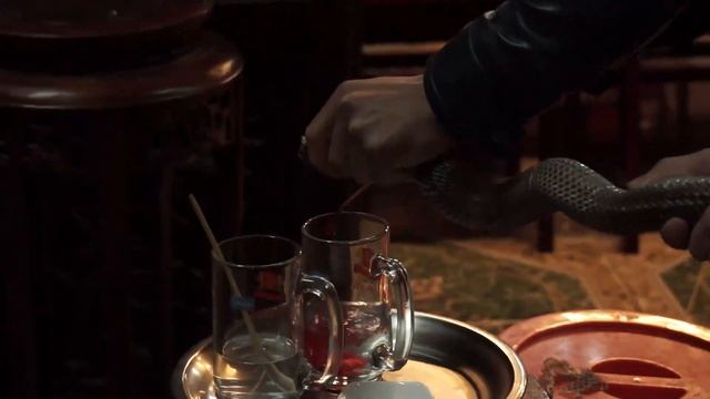 Экзотика Вьетнама. Ритуал поедания кобры смотреть онлайн