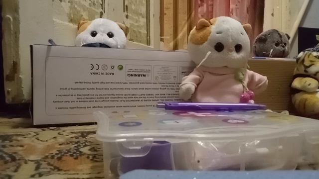 проверка домашнего задания по окружающему миру/💓💞💗школа басиков💗 💞💓/ смотреть онлайн