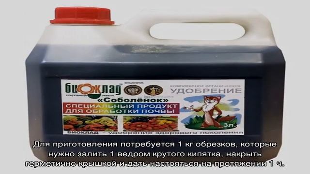 Чем подкормить крыжовник весной, летом и осенью смотреть онлайн