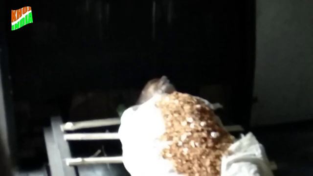 Electric Savdaah कैसे होता है | Electric मशीन से अंतिम संस्कार | ELECTRIC CREMATORIUM AT 450 Degree