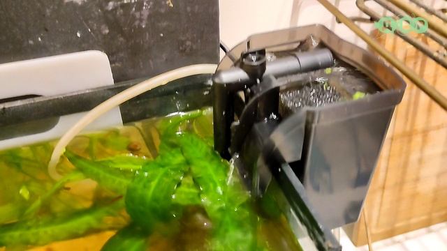 Тетя Ася снова чудит! смотреть онлайн