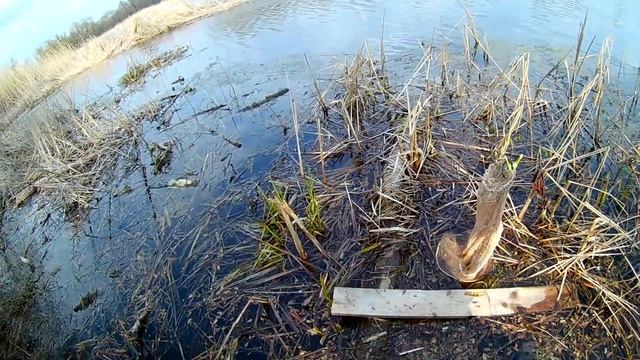 Ловля на пробку и ловля щуки на спиннинг. СЕКРЕТ КЛЁВА рыбы. смотреть онлайн