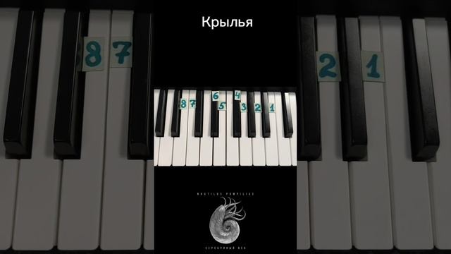 Крылья Наутилус Помпилиус на пианино 🎹 Обучение смотреть онлайн