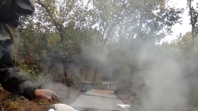 УЧИМСЯ ЗИМОВАТЬ БАЗА-2 У3 смотреть онлайн