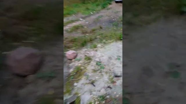 делаем декоративный штукатурка короед на фасад м2 300 руб. ? смотреть онлайн