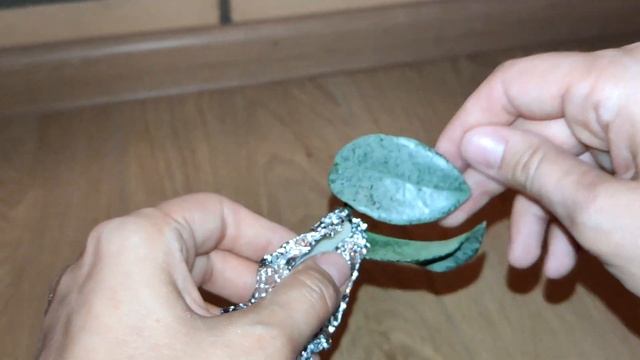 Посылка с хойями Керри. Нова хост и Грей хост - найди 10 отличий смотреть онлайн