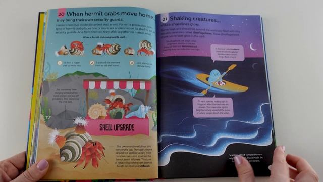 Usborne - 100 Things to Know About the Oceans смотреть онлайн
