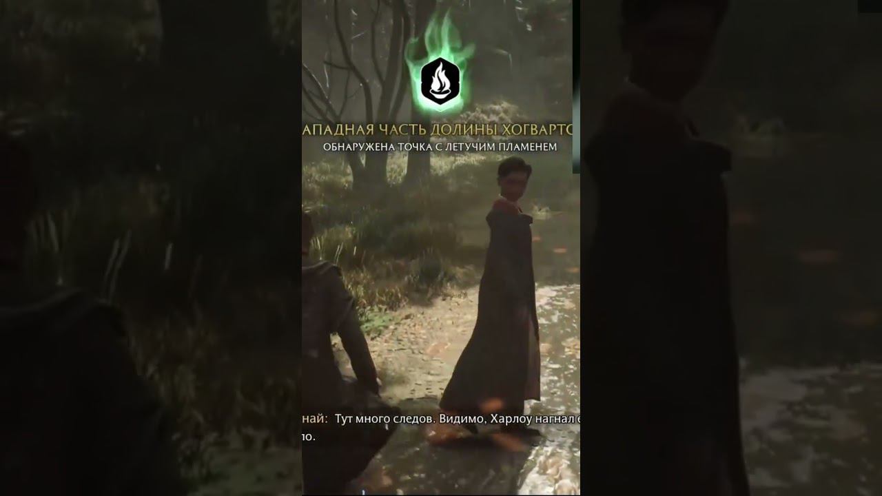 ОБЗОР Hogwarts legacy №5 #harrypotter #hogwartslegacy #ps5 смотреть онлайн