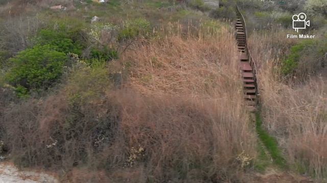 Дача / Природа / Пасхальное время смотреть онлайн