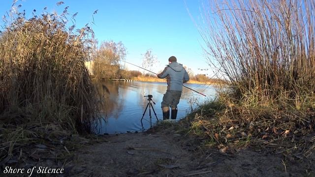 Ловлю рыбу ТРЁХМЕТРОВОЙ удочкой. Тысяча окуней и одна плотва. Рыбалка в отвес на БОКОВОЙ КИВОК. смотреть онлайн