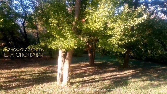 ИСЦЕЛЯЮЩИЙ ОСЕННИЙ ПОЦЕЛУЙ ПОСЛЕ ЖАРКОГО ЛЕТА. ОКТЯБРЬ смотреть онлайн