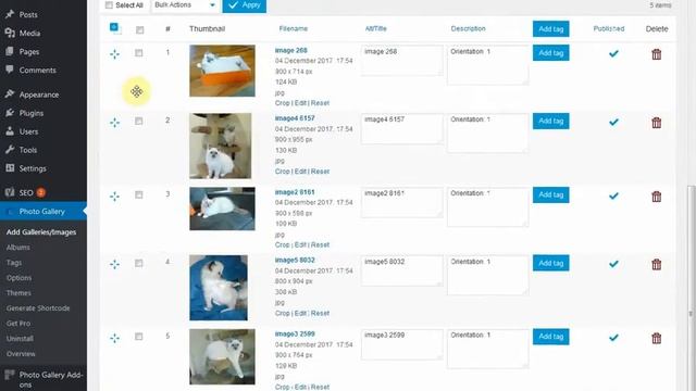 Changing Order of Images in WordPress Photo Gallery by Web Dorado смотреть онлайн