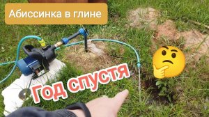 АБИССИНКАЯ СКВАЖИНА В ГЛИНЕ ГОД СПУСТЯ!#свояскважина52#абиссинскаяскважина#абиссинскийколодец