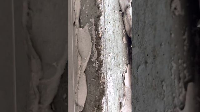 Штукатурка стен ЖК«Грани Residence» Новороссийск, #отделкаквартиры #ремонт #рекомендации #video смотреть онлайн