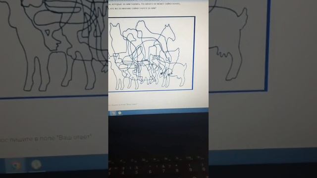 Почему наш марафон увлекает ребенка и вызывает интерес к математике и повышает оценку у 2-3классник смотреть онлайн