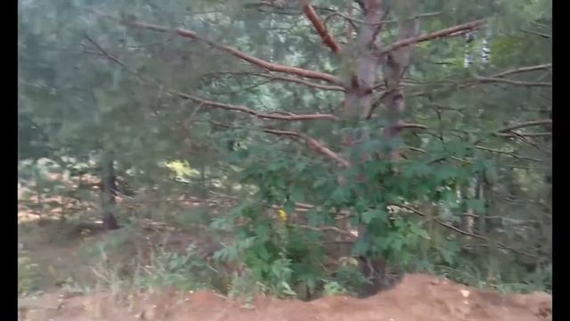 Motocross-Нарезка(2016) смотреть онлайн