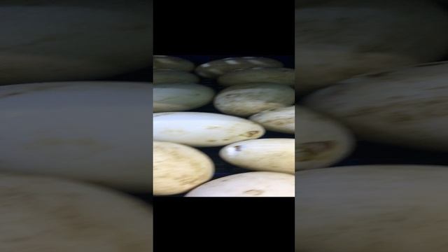 2023-03-14 смотреть онлайн