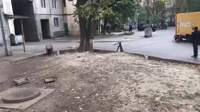 Пёс 5 как снимают сериал в Киеве смотреть онлайн