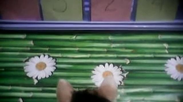 Кошка Люся показывает цифру 3 на столе смотреть онлайн