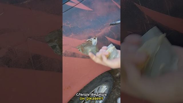 Приколы сто....Сто моментов юмора №11 #приколы #развлечения #смех #юмор #как#смешныевидео смотреть онлайн