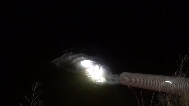 Запуск форели в "Бобровый" пруд РБ "Львово" 13.11.2020 смотреть онлайн